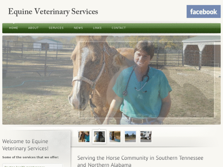 www.equineveterinaryservicestn.com