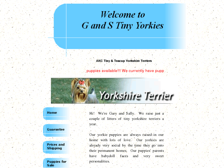 www.gandstinyyorkies.com