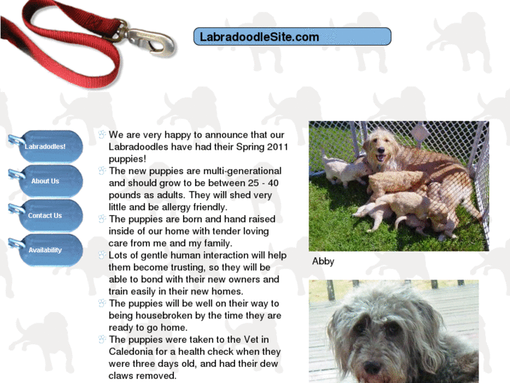 www.labradoodlesite.com