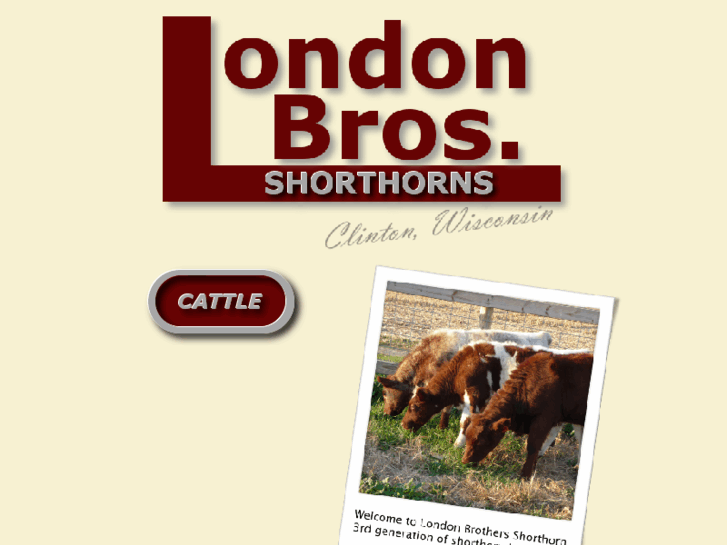 www.lbshorthorn.com