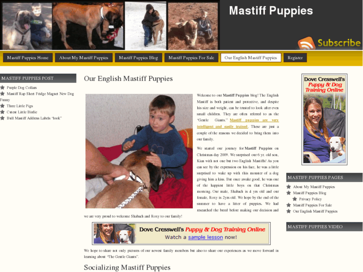 www.my-mastiff-puppies.com