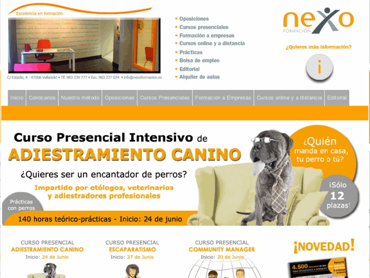 www.nexoformacion.es