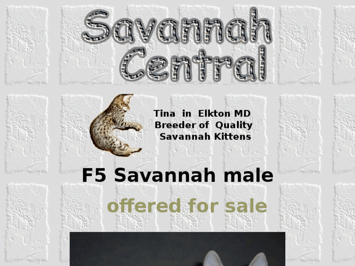 www.nighteyesavannahs.com