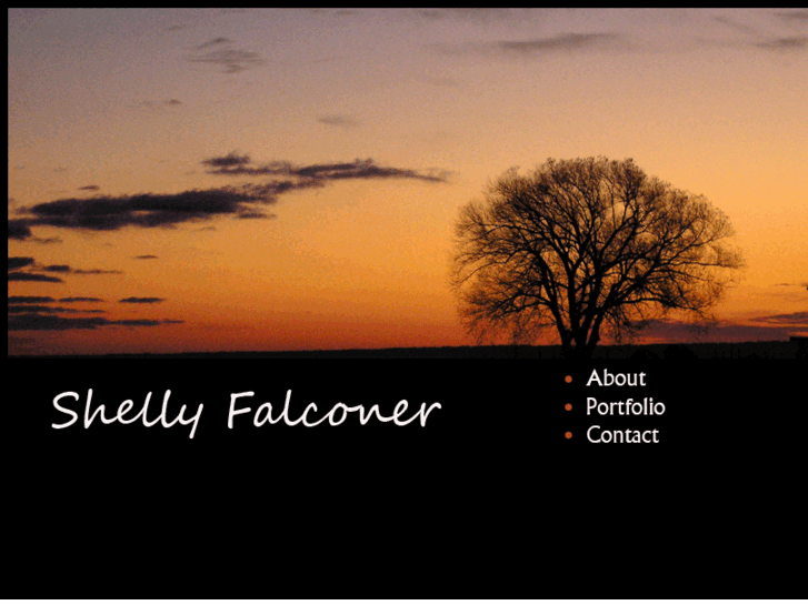 www.shellyfalconer.com