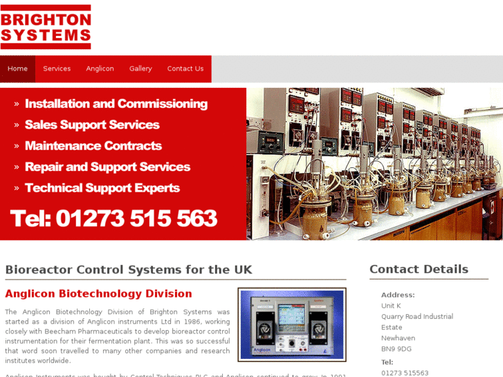 www.brighton-systems.com