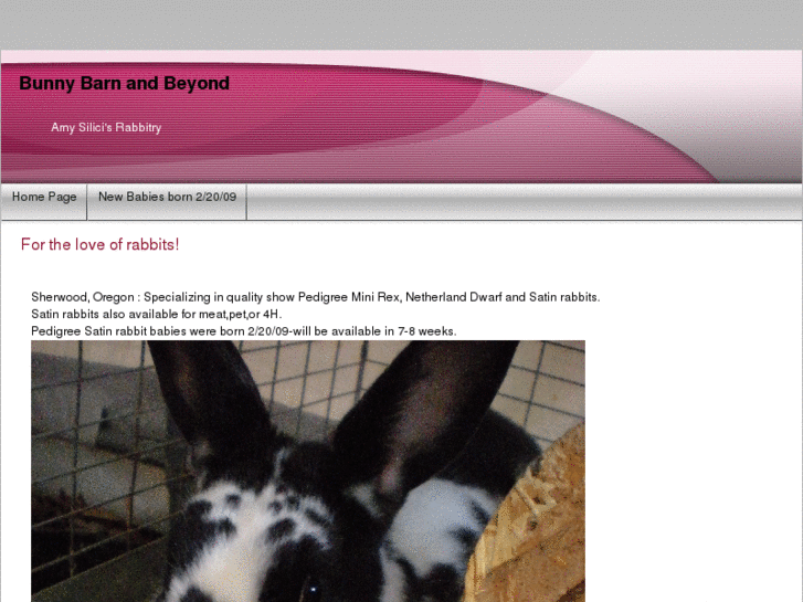 www.bunnybarnandbeyond.com