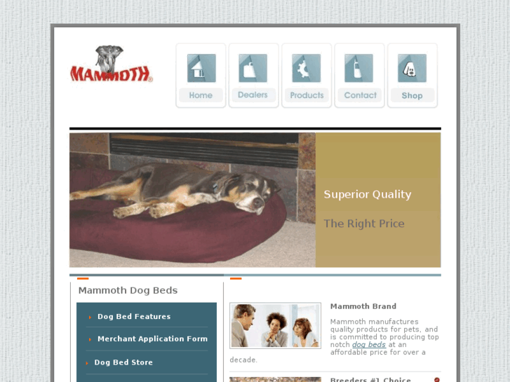 www.dogbed-outlet.com