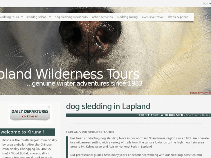 www.laplandwildernesstours.com