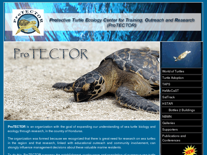 www.turtleprotector.org