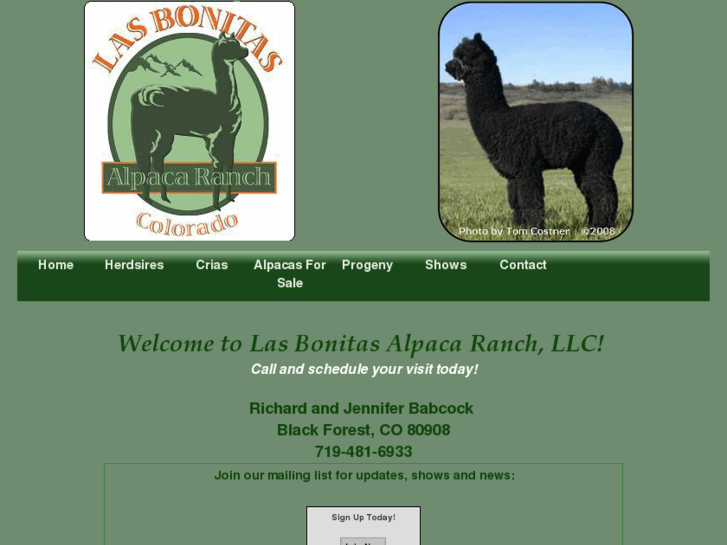 www.lasbonitasalpacas.com