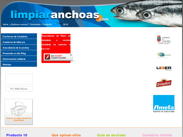 www.limpiaranchoas.com