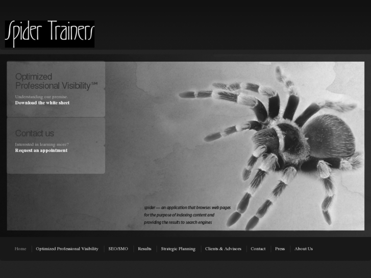 www.optimizedprofessionalvisibility.com