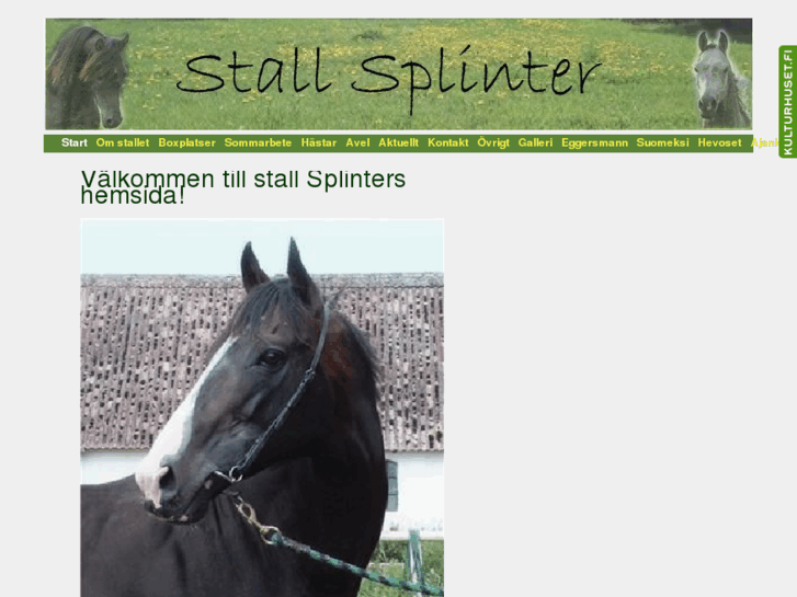 www.stallsplinter.com