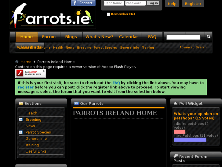 www.parrots.ie