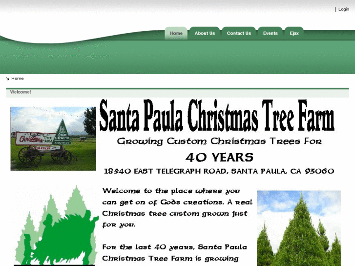 www.santapaulachristmastree.com