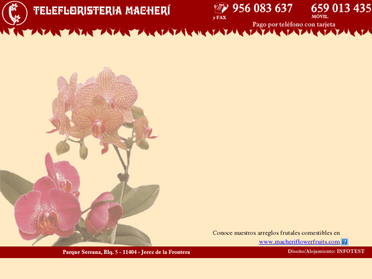 www.telefloristeriamacheri.com