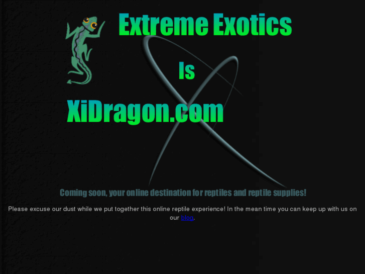 www.xidragon.com