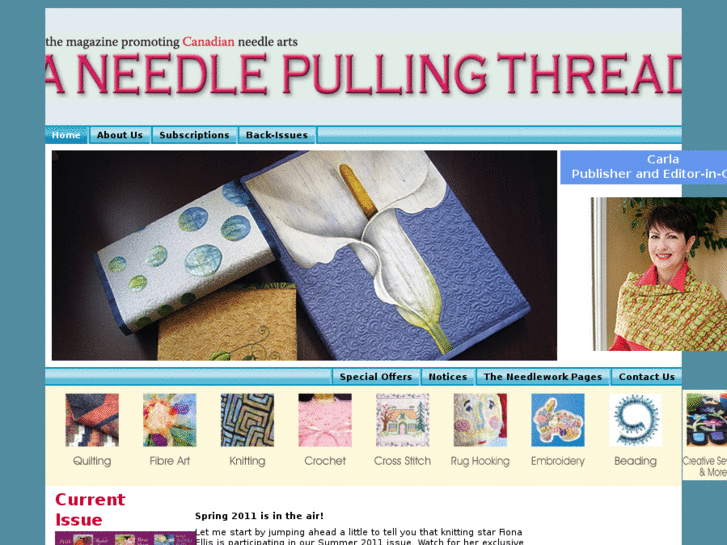 www.aneedlepullingthread.com