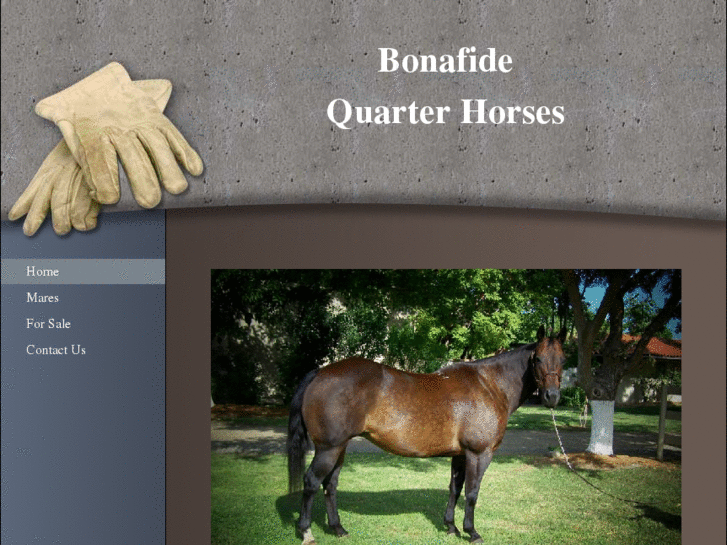 www.bonafidequarterhorses.com