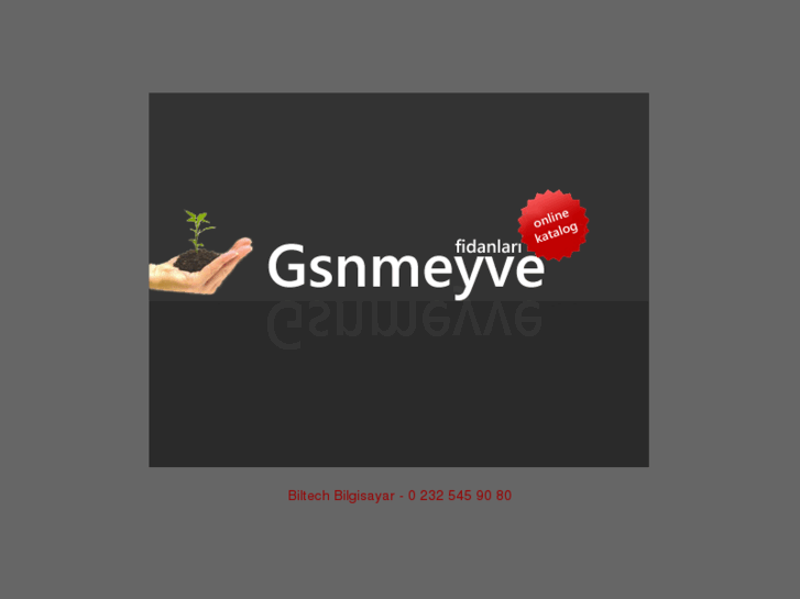 www.gsnmeyvefidanlari.com