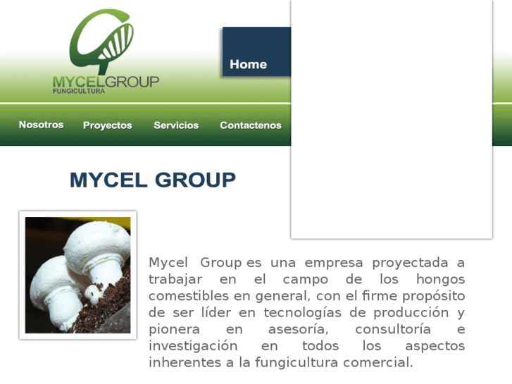 www.mycelgroup.com