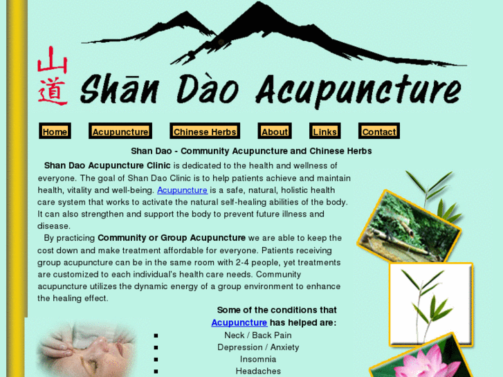 www.shandaoacupuncture.com