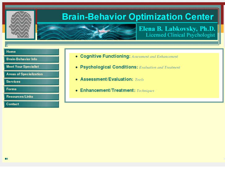 www.brainbehavioroptimization.com