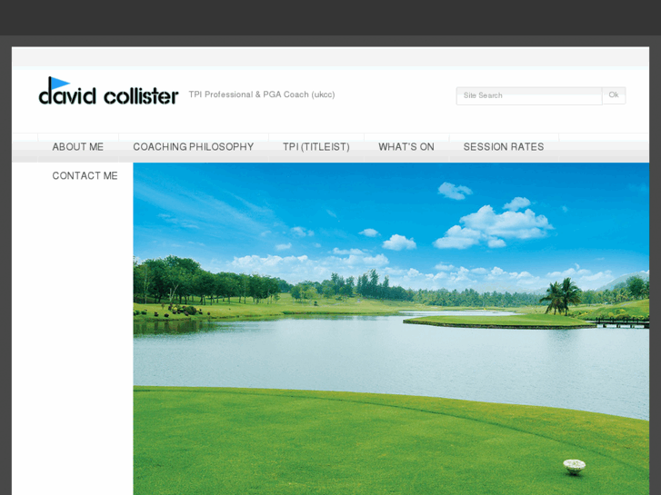 www.davidcollistergolf.com