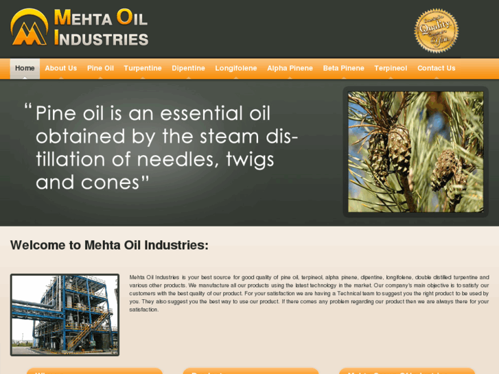 www.mehtaoilindustries.com