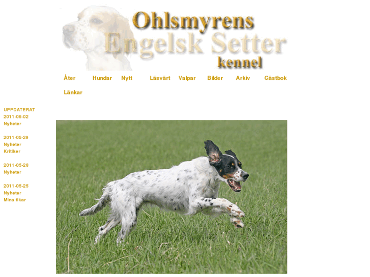 www.ohlsmyrens.se