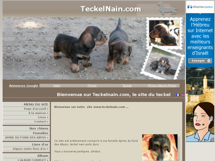 www.teckelnain.com