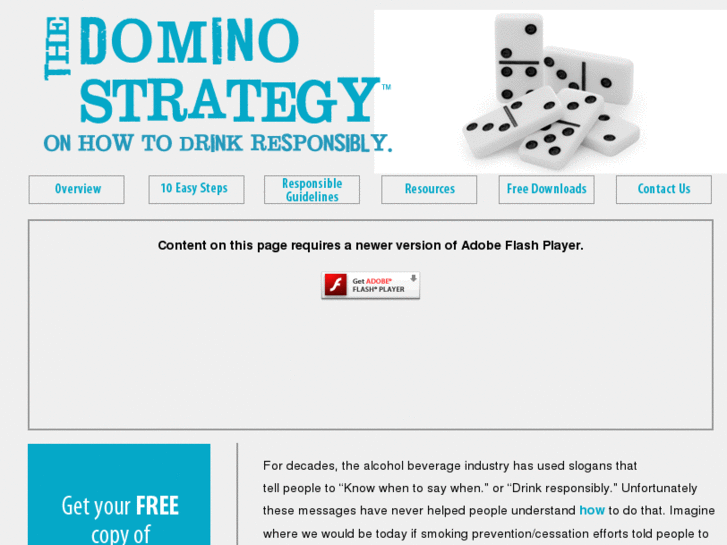 www.dominostrategy.org