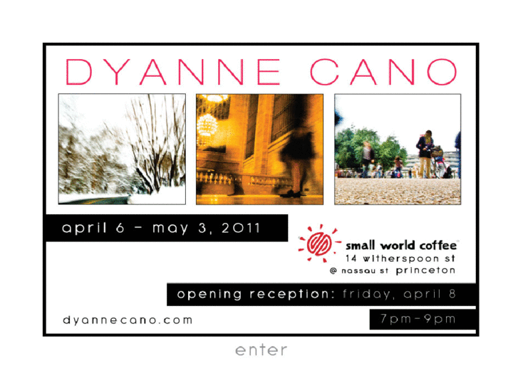 www.dyannecano.com