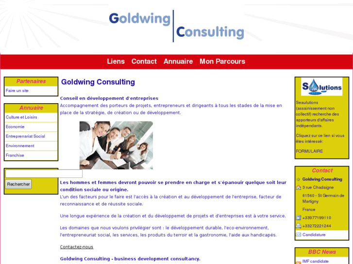 www.goldwing-consulting.com