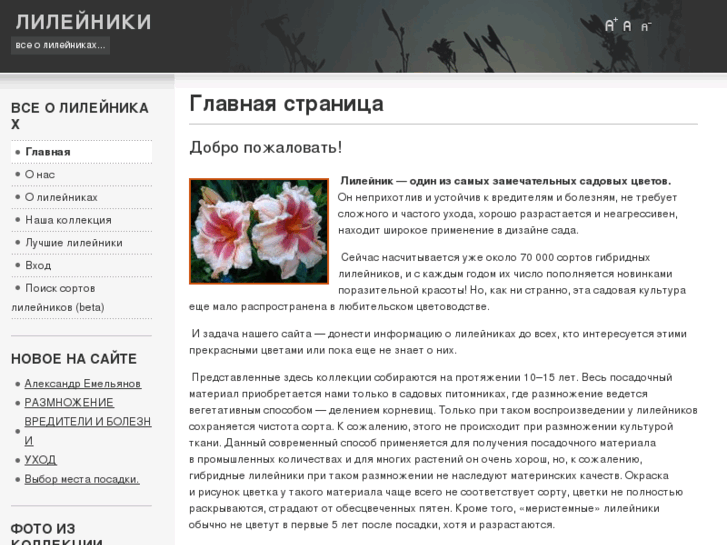 www.lileynik.ru