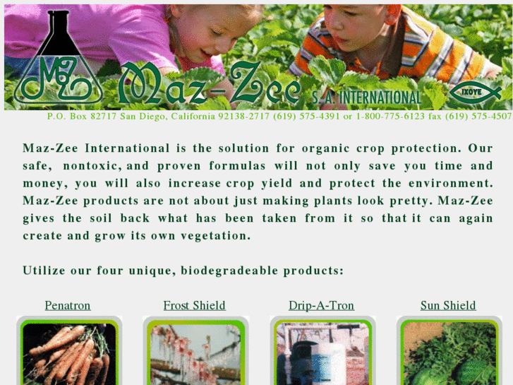 www.mazzeeorganics.com