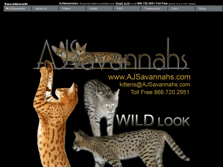 www.ajsavannahs.com