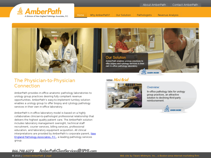 www.amberpath.net