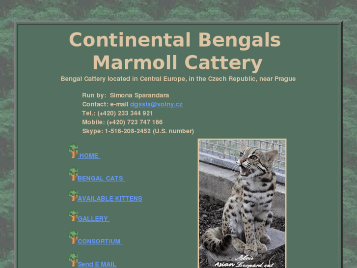 www.continentalbengals.com