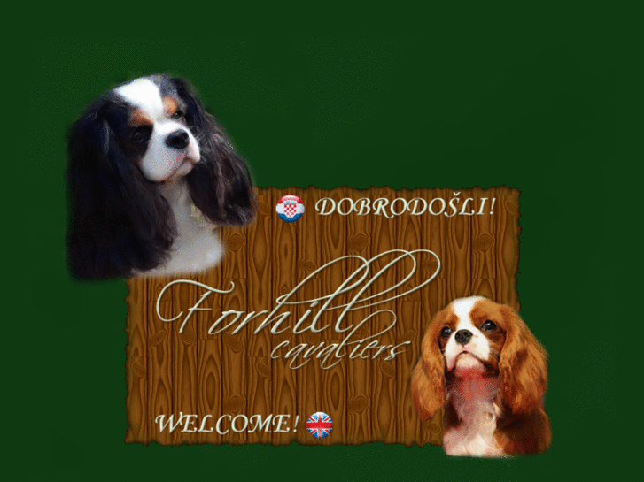 www.forhill.net