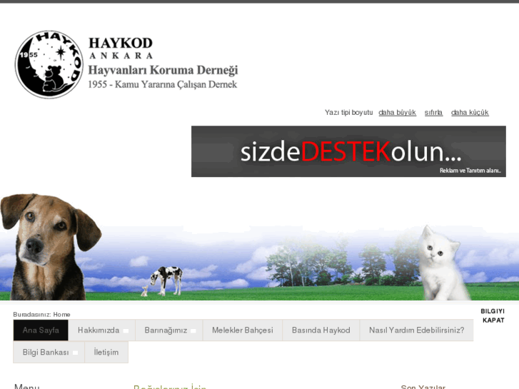 www.haykod.org