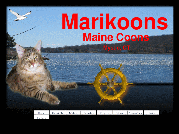 www.marikoons.com