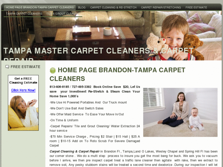 www.tampamastercarpetcleaners.com