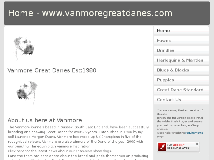 www.vanmoregreatdanes.com