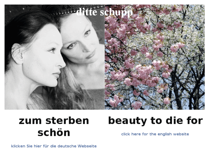 www.zum-sterben-schoen.com