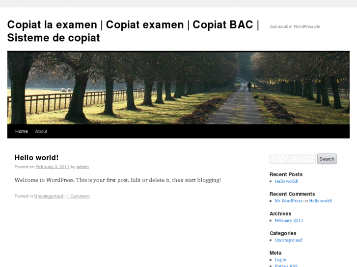 www.copiatexamene.info
