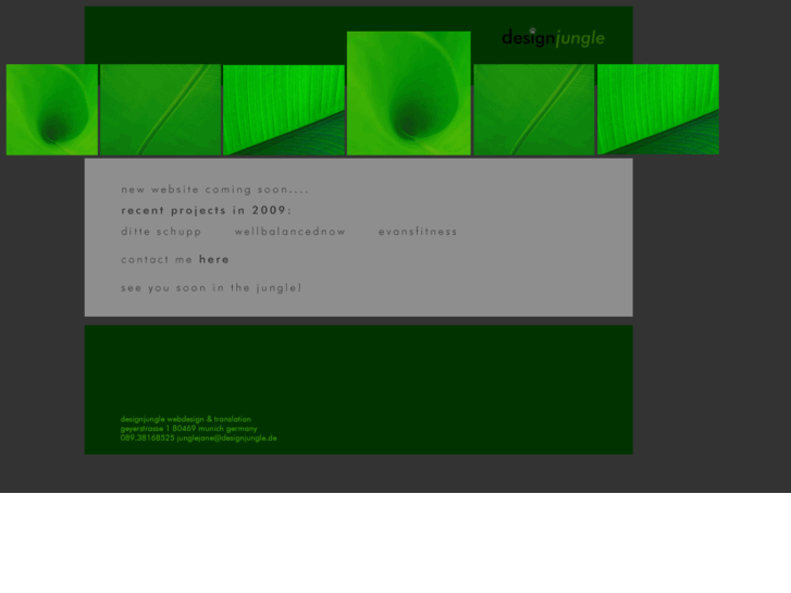 www.designjungle.de