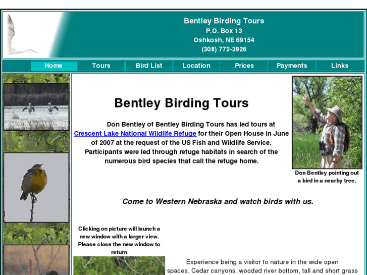 www.bentleybirding.com