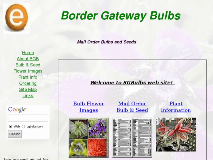 www.bgbulbs.com