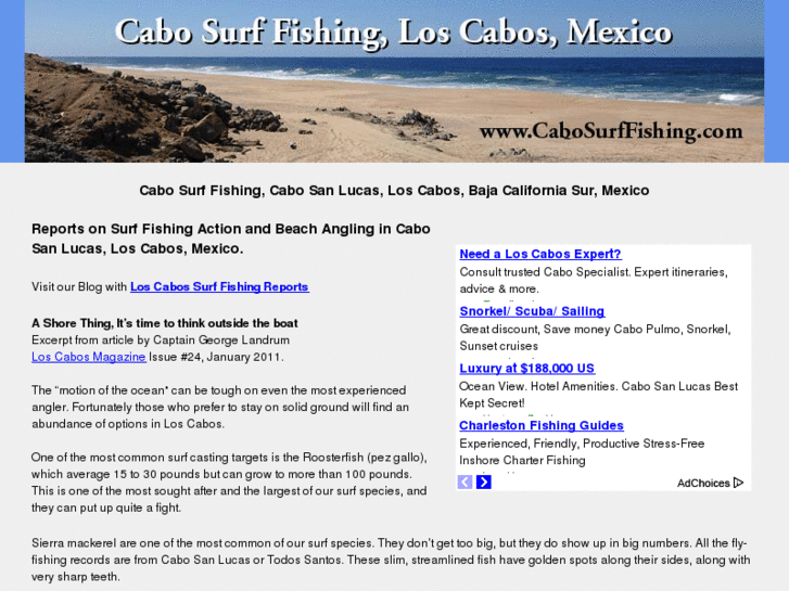 www.cabosurffishing.com